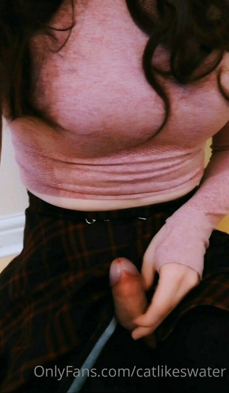 Cat Likes Water hd kunst bilder