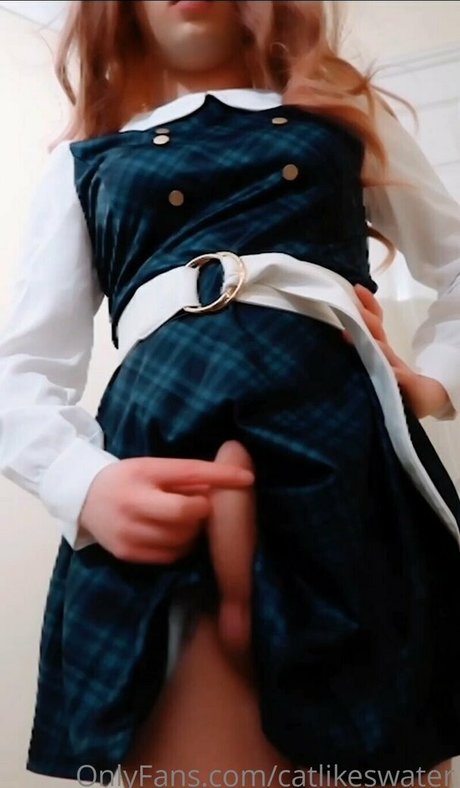 Cat Likes Water model hd bilder