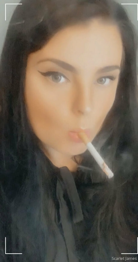 hase nur fans exklusive perfekte bild