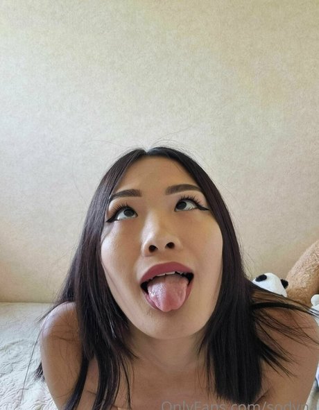 sodyna freie top fotos