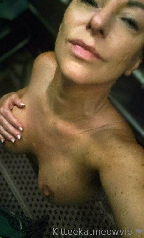 kitteekatmeowvip Profilbild