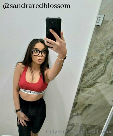 misslillyxxx beste kunst bilder