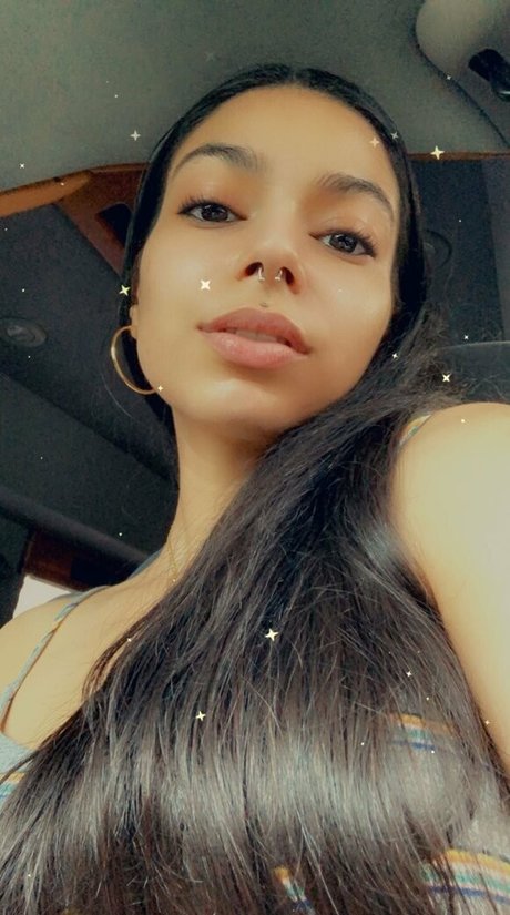 torothadon model exklusive bild