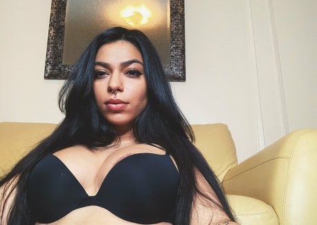 torothadon model archiv