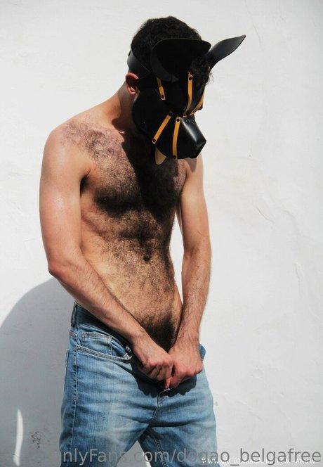 dogao belgafree hd akt archiv