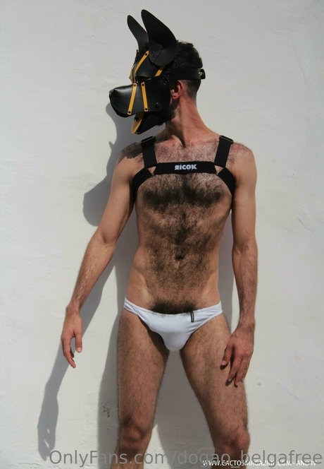 dogao belgafree kostenlose schöne galerie