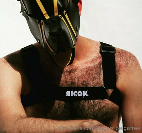 dogao belgafree heiße perfekte galerien