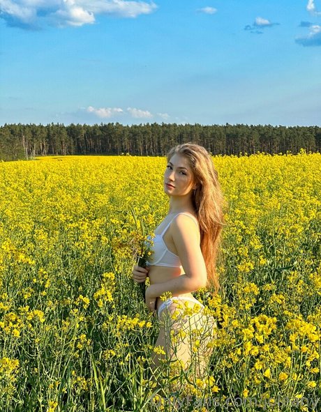 joleany perfekte freie foto