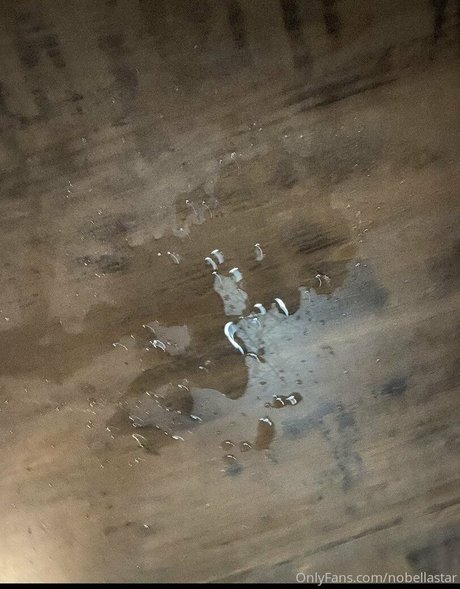 nobellastar erwachsene kostenlose bild