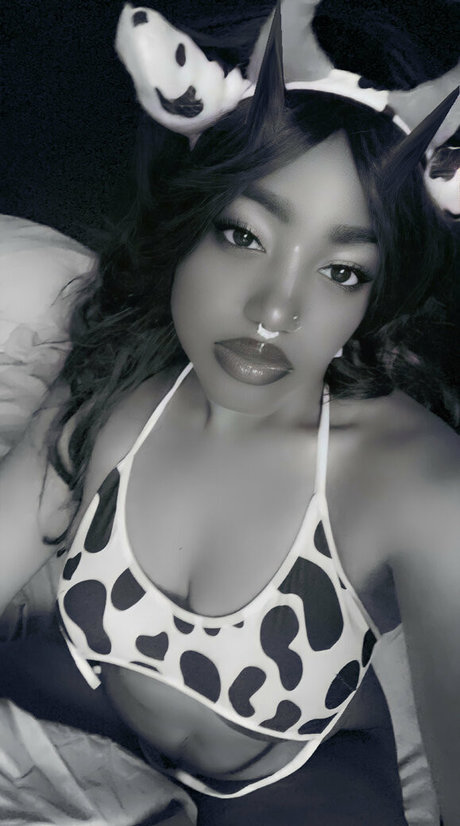 itsterrbear kostenlose heiße archiv