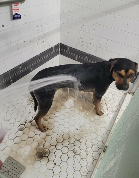 teen mit natürlichen titten nur fans heiße erotische galerie