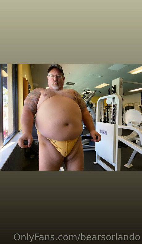 bearsorlando schöne kostenlose bilder