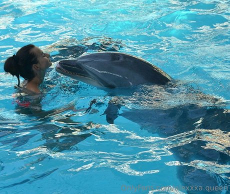 alexxxa queen kunst pornostar foto