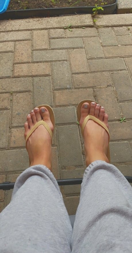 bunniasian hübsche bild