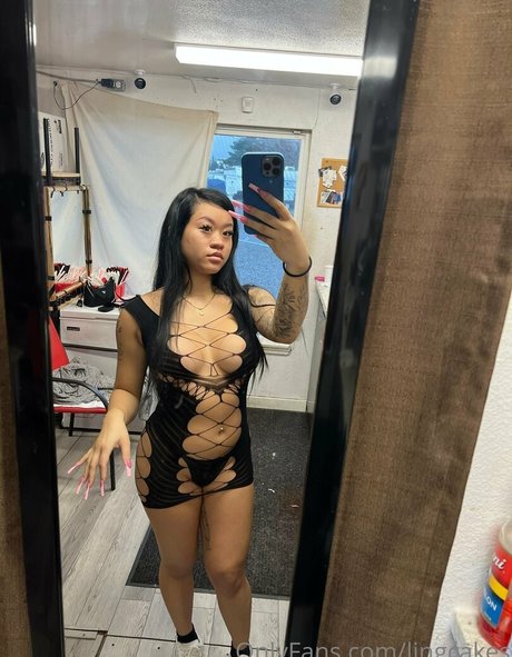 lingcakes hd akt bilder