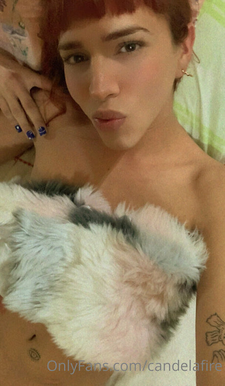 candelafire kostenlose exklusive bilder