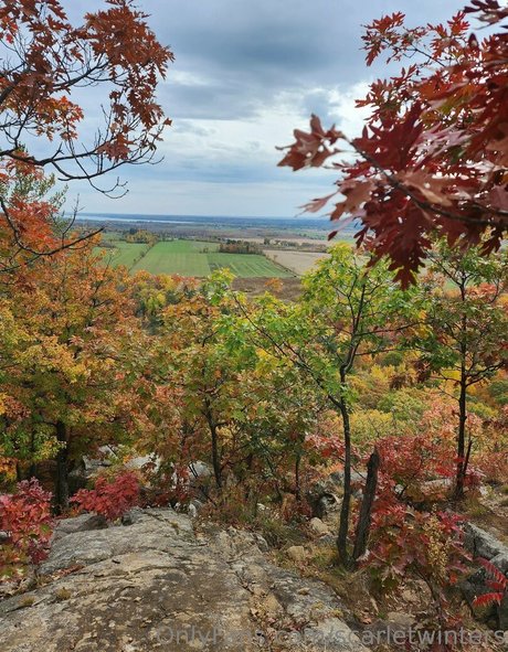 scarletwinters model perfekte galerien