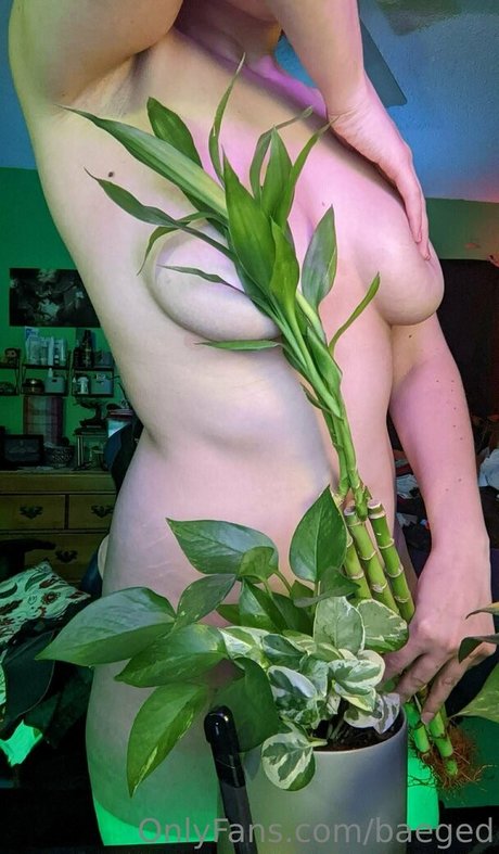 baeged kunst erotische bild