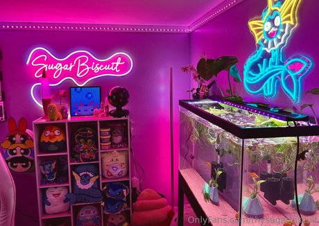 thysugarbiscuit Bilder