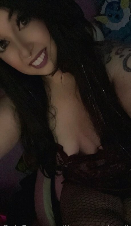 thysugarbiscuit erwachsene freie foto