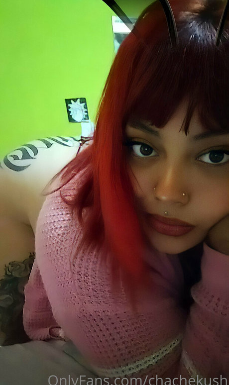 chachekush420 Bilder