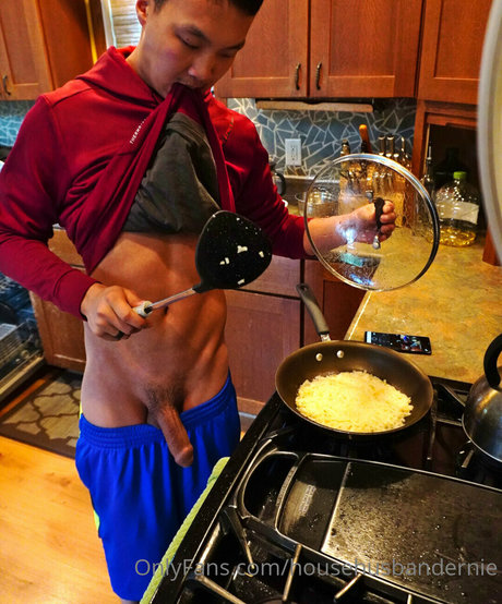 househusbandernie top beste galerien