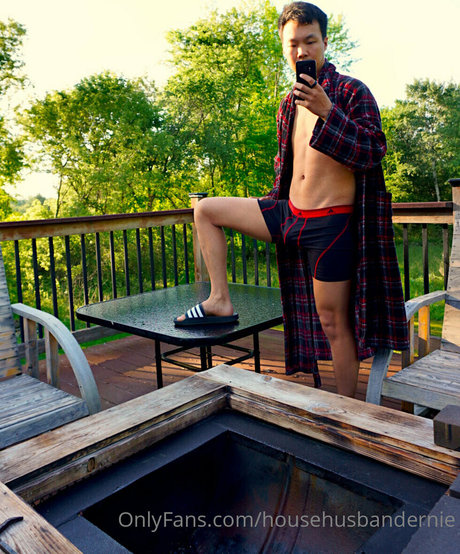 househusbandernie schauspielerin hd bild