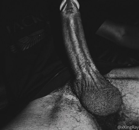 xkingray freie kunst galerien