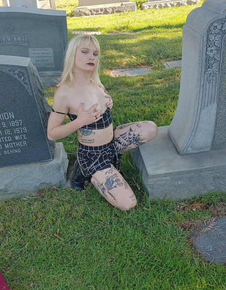 ts snowqueen exklusive pornografische archiv