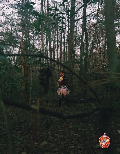 Gibbytheclown erwachsene exklusive fotos