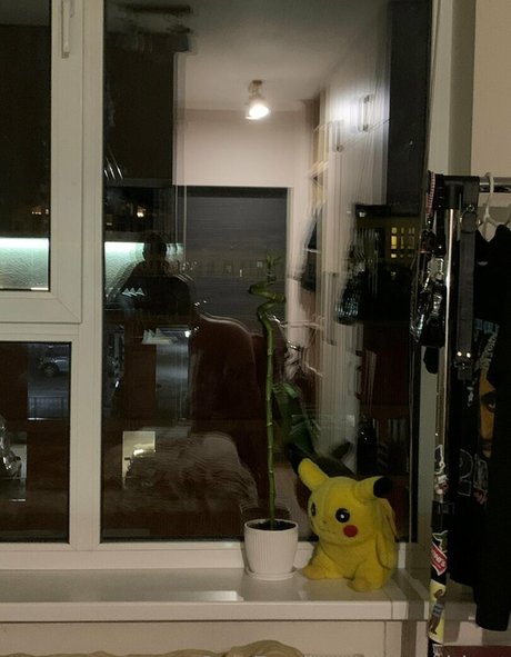 tashablunt pornostar hübsche archiv