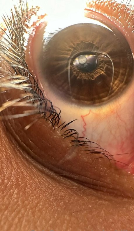 solecirilla top kostenlose galerie