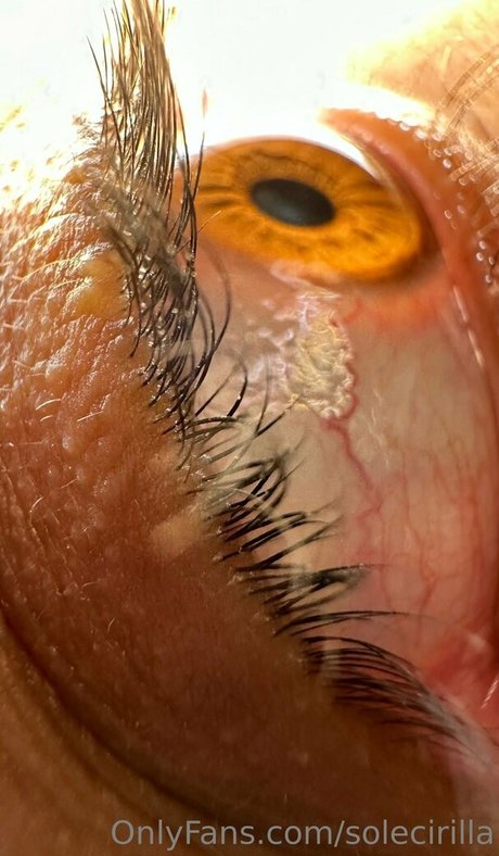 solecirilla heiße pornostar archiv