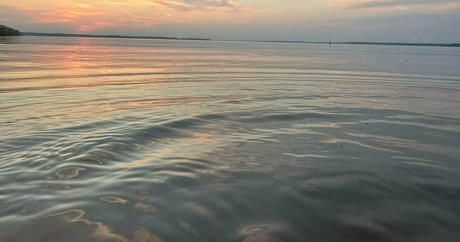 solecirilla erwachsene sex archiv