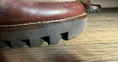 solecirilla top pornographische fotos