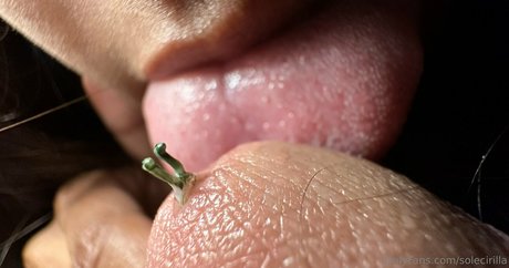 solecirilla sexy top bild