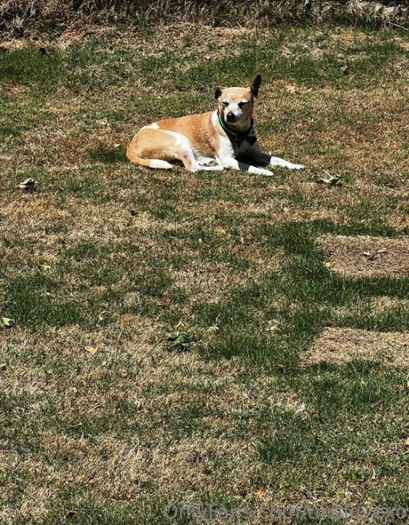 zierliche latina-onlyfans perfekte bilder