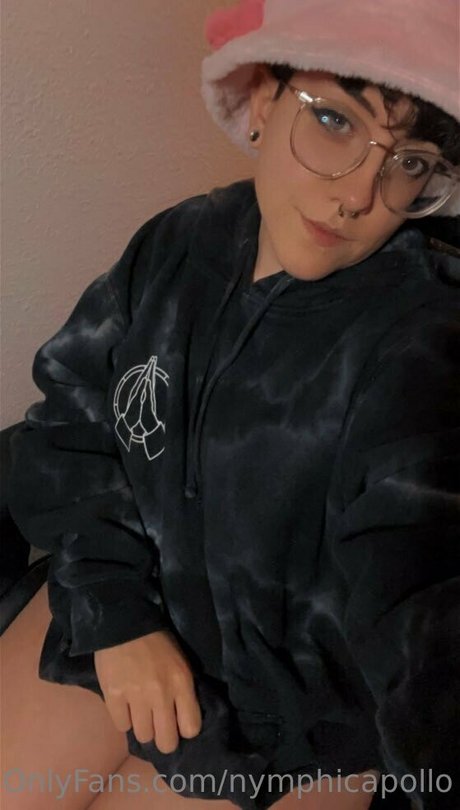 nymphicapollo Bilder