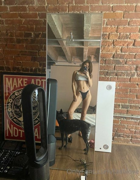 tashlove erotische top archiv