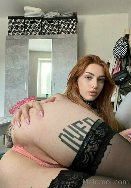 melo4free heiße erwachsene foto