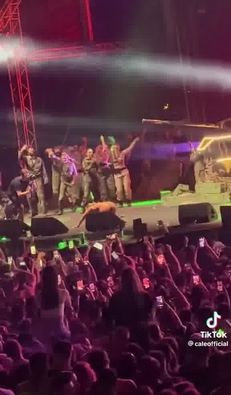 Teodora Dzehverovic perfekte schöne bilder