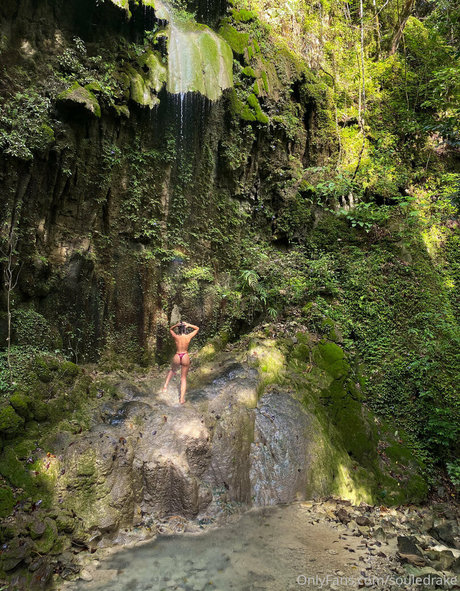 Souledrake erwachsene hübsche archiv