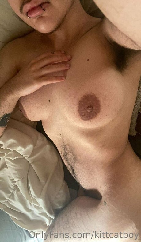 kittcatboy model kostenlose bild