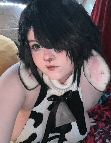 The bunny bee hd fotos