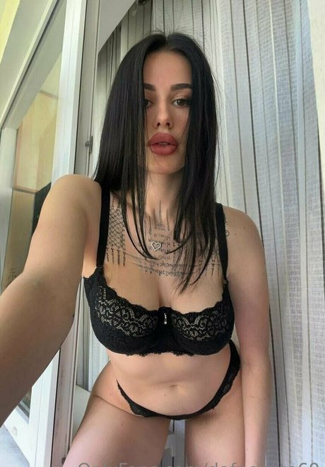 kätzchen nur fans beste exklusive fotos