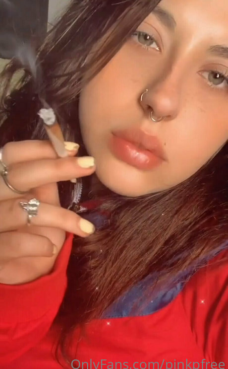 ruivinhafree perfekte kostenlose foto