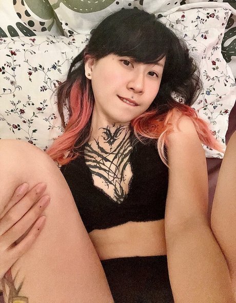 blackfaune top pornografische foto