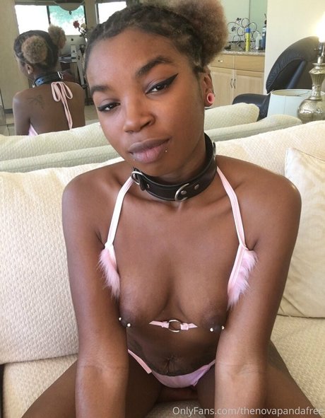 thenovapandafree hübsche galerie