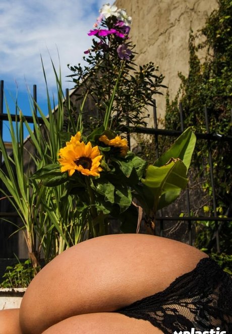 Debora Porto erotische pornographische galerie