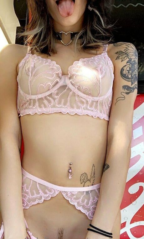 Cupoheaven top beste foto